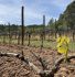 Wine tour Côte d’Azur avec chauffeur privé dans les Vignes de Nice et Provence